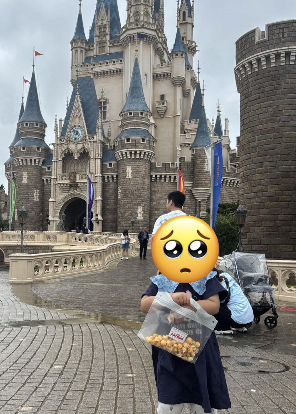 お城の前に立っている子供が、ポップコーンを持って悲しそうに見つめている様子